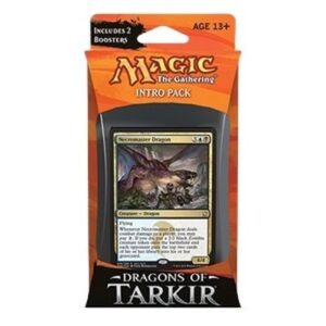 Magic: The Gathering Dragons of Tarkir: Intro Pack