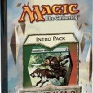 Magic: The Gathering The Adventurers Intro Pack