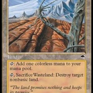 Magic: The Gathering SB Wasteland
