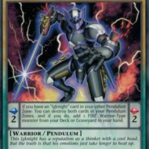 Yu-Gi-Oh! CORE-JP Igknight Paladin