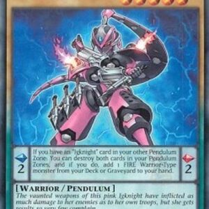 Yu-Gi-Oh! DOCS-JP Igknight Cavalier