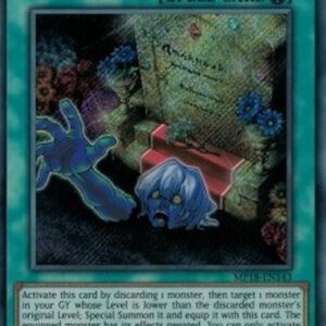 Yu-Gi-Oh! CIBR Overdone Burial N/A