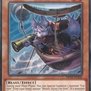 Yu-Gi-Oh! DASA Recon, Scout Fur Hire