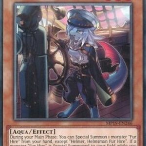 Yu-Gi-Oh! DASA Helmer, Helmsman Fur Hire