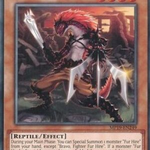 Yu-Gi-Oh! DASA Bravo, Fighter Fur Hire