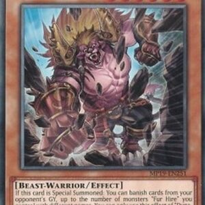 Yu-Gi-Oh! DASA Dyna, Hero Fur Hire N/A