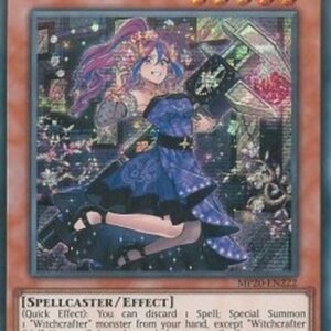 Yu-Gi-Oh! DBIC Witchcrafter Edel