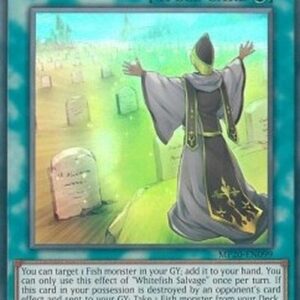 Yu-Gi-Oh! DANE Whitefish Salvage