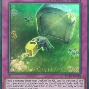 Yu-Gi-Oh! CHIM Peaceful Burial