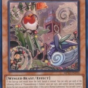 Yu-Gi-Oh! BODE-JP Floowandereeze & Robina