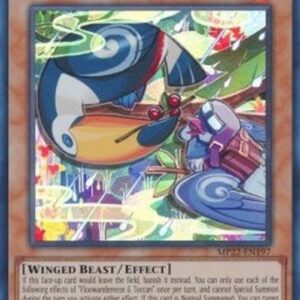 Yu-Gi-Oh! BODE-JP Floowandereeze & Toccan