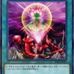 Yu-Gi-Oh! AMDE One for One (V.1 - Super Rare) N/A