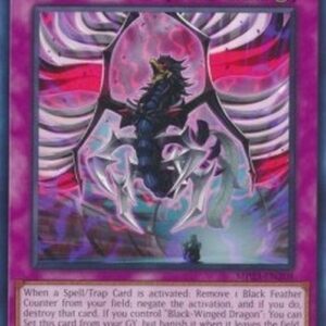 Yu-Gi-Oh! DABL-JP Black Shadow Squall
