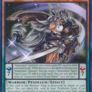 Yu-Gi-Oh! Amazoness Silver Sword Master N/A