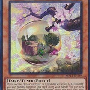 Yu-Gi-Oh! CYAC-JP Mannadium Fearless N/A