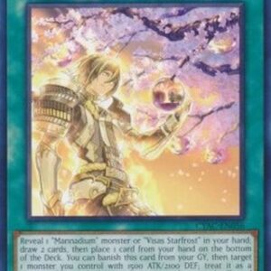 Yu-Gi-Oh! CYAC-JP Mannadium Imaginings