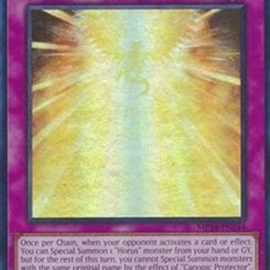 Yu-Gi-Oh! AGOV-JP Canopic Protector