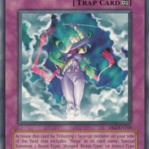Yu-Gi-Oh! 308 Ninjitsu Art of Transformation