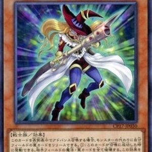 Yu-Gi-Oh! Vision HERO Witch Raider Japanese