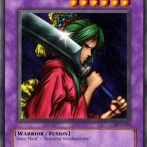 Yu-Gi-Oh! Warrior of Tradition