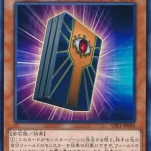Yu-Gi-Oh! DUDE Gate Blocker Japanese