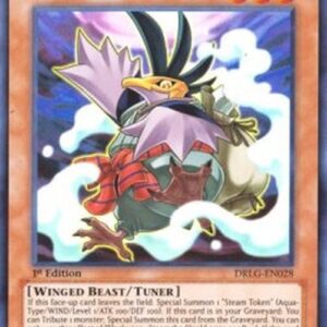 Yu-Gi-Oh! DLCS Blackwing - Steam the Cloak