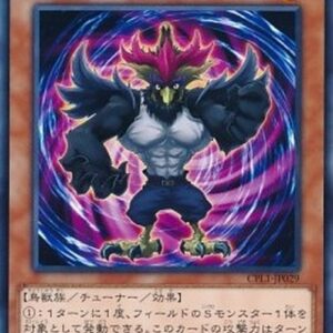 Yu-Gi-Oh! DLCS Blackwing - Hurricane the Tornado Japanese