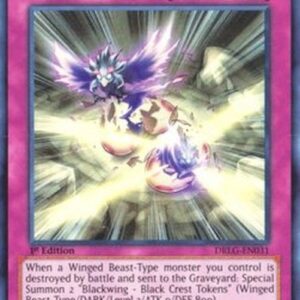 Yu-Gi-Oh! DLCS Black Wing Revenge