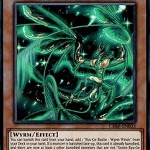 Yu-Gi-Oh! DBCB Genro Ryu-Ge Hakva