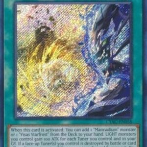 Yu-Gi-Oh! CYAC-JP Peaceful Planet Calarium