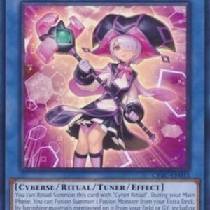 Yu-Gi-Oh! CYAC-JP Cyberse Sage