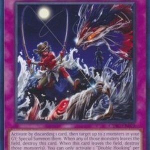 Yu-Gi-Oh! CYAC-JP Double Hooking