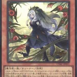 Yu-Gi-Oh! CYAC-JP Guiding Quem, the Virtuous (V.1 - Super Rare) Korean