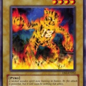 Yu-Gi-Oh! 5DS3 Blazing Inpachi