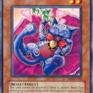 Yu-Gi-Oh! FET-JP Catnipped Kitty