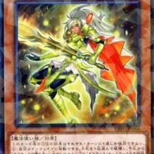 Yu-Gi-Oh! DBHS Defender of Nephthys (V.2 - Parallel Rare) Japanese