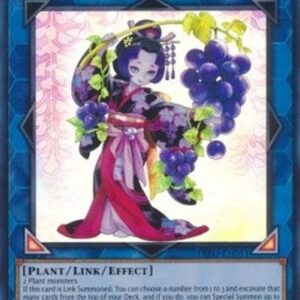 Yu-Gi-Oh! DIFO-JP Sylvan Dancepione