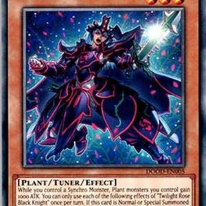Yu-Gi-Oh! DOOD-JP Twilight Rose Black Knight