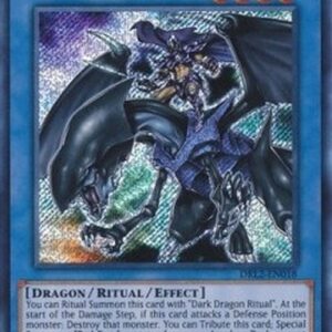 Yu-Gi-Oh! Paladin of Dark Dragon