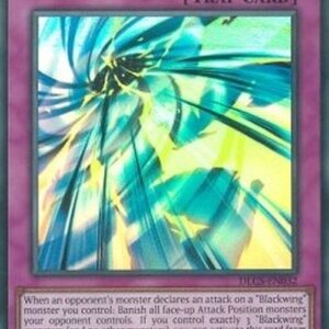Yu-Gi-Oh! DLCS Black Sonic (V.2 - Ultra Rare)