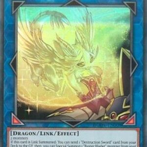 Yu-Gi-Oh! DUOV Protector Whelp of the Destruction Swordsman