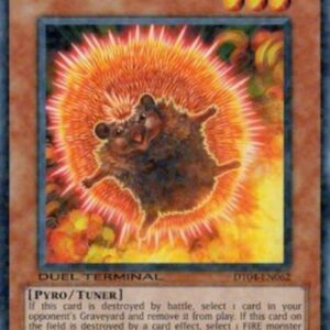 Yu-Gi-Oh! Neo Flamvell Hedgehog