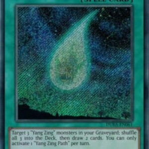Yu-Gi-Oh! DUEA-JP Yang Zing Path