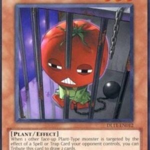 Yu-Gi-Oh! Inmato (V.1 - Rare)