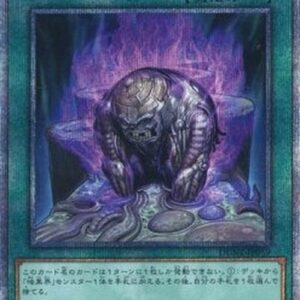 Yu-Gi-Oh! DUNE-JP Dark Corridor (V.3 - Quarter Century Secret Rare) Japanese