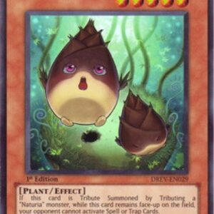 Yu-Gi-Oh! DREV Naturia Bamboo Shoot (V.1 - Ultra Rare)