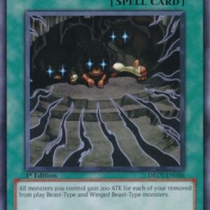 Yu-Gi-Oh! DREV-JP Beast Rage