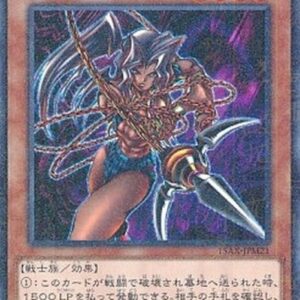 Yu-Gi-Oh! 15AX-M Amazoness Chain Master (V.2 - Parallel Rare) Korean
