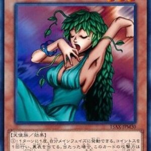 Yu-Gi-Oh! 15AX-M Goddess of Whim (V.1 - Common) Korean