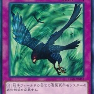 Yu-Gi-Oh! 15AX-M Windstorm of Etaqua (V.1 - Common) Korean